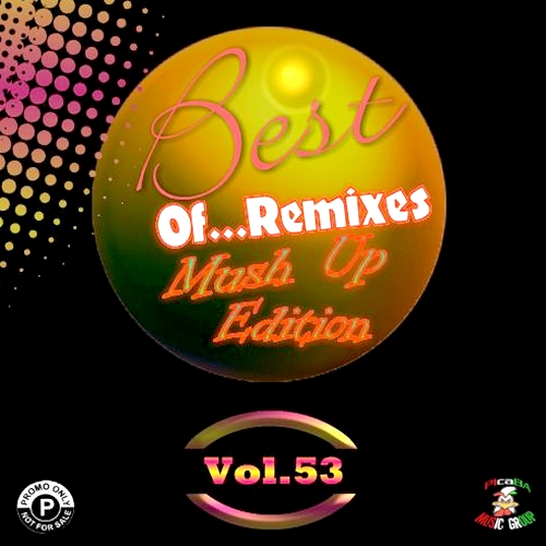 Best of... Remixes Vol. 53 (2012)