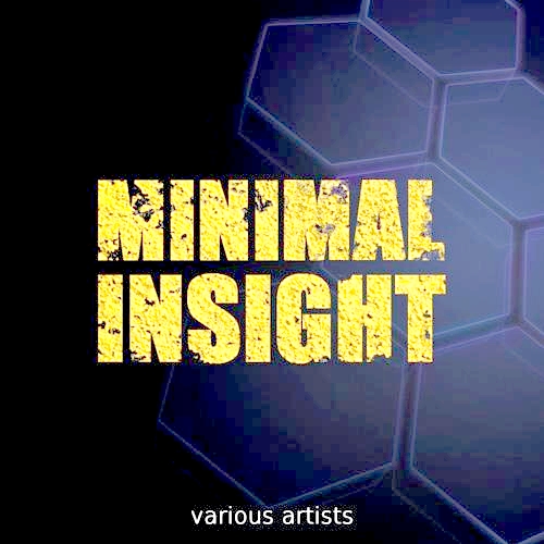 Minimal Insight (2012)
